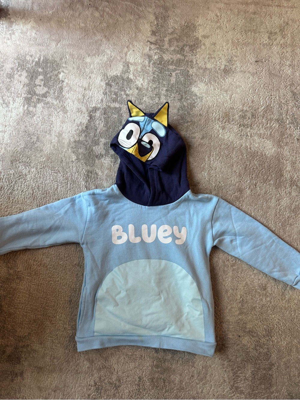 Lucy Light Blue "Bluey" Hooded Kids Sweatshirt with Navy Character Hood